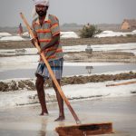 Arbeiter bei der Salz Ernte
